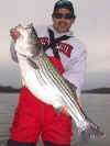 striper_DaveM_angle.jpg (68824 bytes)